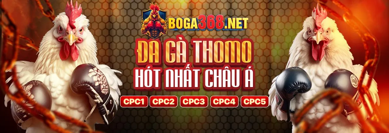 Hình ảnh chính trang Câu hỏi thường gặp cwin06 casino